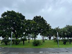 -深圳湾公园(南山区)