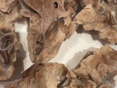 -老员外骨汤火锅(海州古城店)