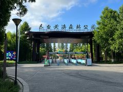 -黄海国家森林公园