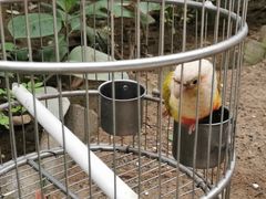 -南宫五洲植物乐园