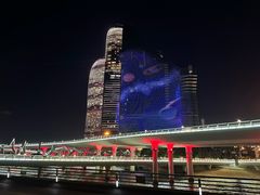 -演武大桥观景平台