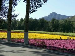 -乌龙峡谷景区
