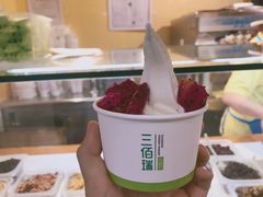 冻酸奶-三佰瑞冻酸奶(凯德MALL店)