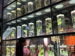 -广东中医药博物馆