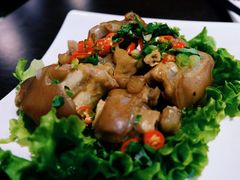 耙猪蹄-老诚一锅羊蝎子(黄寺大街店)