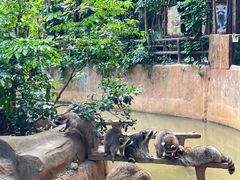-长鹿旅游休博园