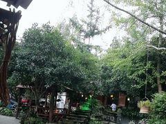 -青城甲(青城山店)