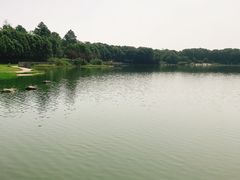 -美兰湖景区