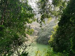-水濂山森林公园