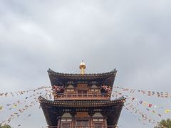 -庐山风景名胜区-东林大佛