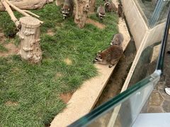 -石家庄市动物园