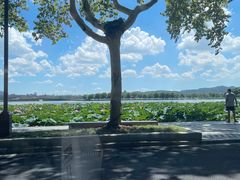 -新白鹿餐厅(星光大道一期店)