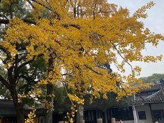 -西园戒幢律寺