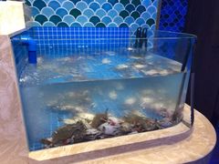 水产区-乔哥铭洋海鲜自助(皇城恒隆广场店)