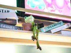 -听说碳烧蛙(高新万达店)