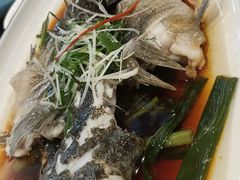 -新南华大酒店(广中店)