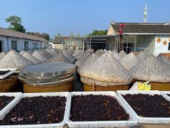 -苏州市吴中区光福窑上花果蜜饯厂