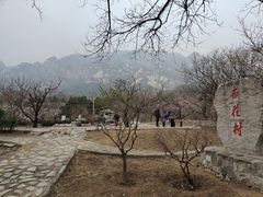 -北京凤凰岭