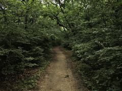 -北陵公园