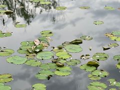 -颐和园