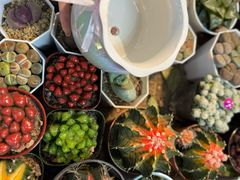 -三旗百汇商品城