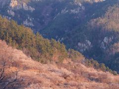 -崂山九水游览区