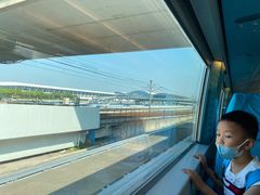 -龙阳路磁悬浮列车总站-停车场