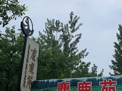 -北京麋鹿生态实验中心