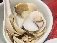 白贝下火锅-大良毋米粥(锦龙路总店)