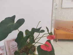 -Cocodemer女性健康·产后恢复(天一广场店)