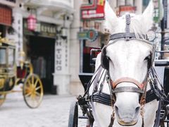 -观澜湖华谊冯小刚电影公社(百年记忆公社)