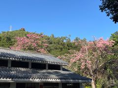 -珠海圆明新园
