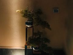 -大桶大足浴(广灵店)