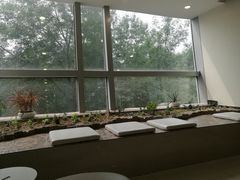 -美联众合动物医院·24h转诊中心