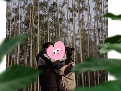-九龙湖公园