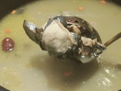 -野菌皇海景野生菌火锅(滨海大道店)