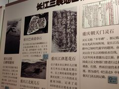 -白鹤梁水下博物馆