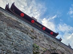 -王阿姨文昌油赞子(府桥街店)