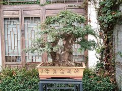 -龙华寺