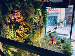 -那胡同里的小烤肉馆(开发区万达店)