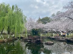 -范蠡湖公园