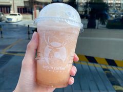 -luckincoffee瑞幸咖啡(东方都会大厦店)