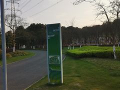 -九里河湿地公园