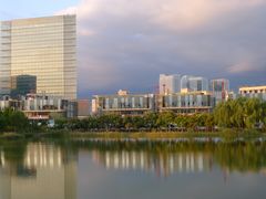 -大兴滨河森林公园