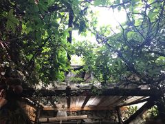 -飘香酒馆·私房菜