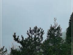 -井冈山风景名胜区-黄洋界