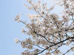 -上海辰山植物园