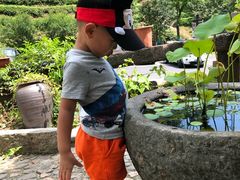 -心无尘茶餐馆(径山村店)