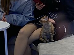 -啵啵喵·猫咖(攀华国际店)