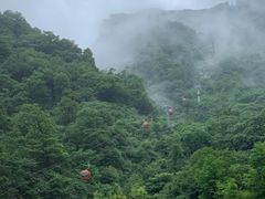 -牛背梁国家森林公园